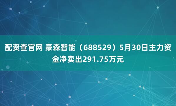 配资查官网 豪森智能（688529）5月30日主力资金净卖出291.75万元
