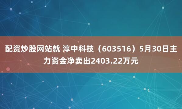 配资炒股网站就 淳中科技（603516）5月30日主力资金净卖出2403.22万元