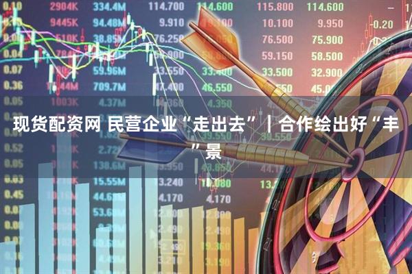 现货配资网 民营企业“走出去”｜合作绘出好“丰”景