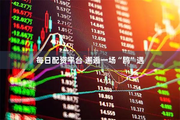 每日配资平台 邂逅一场“鸥”遇